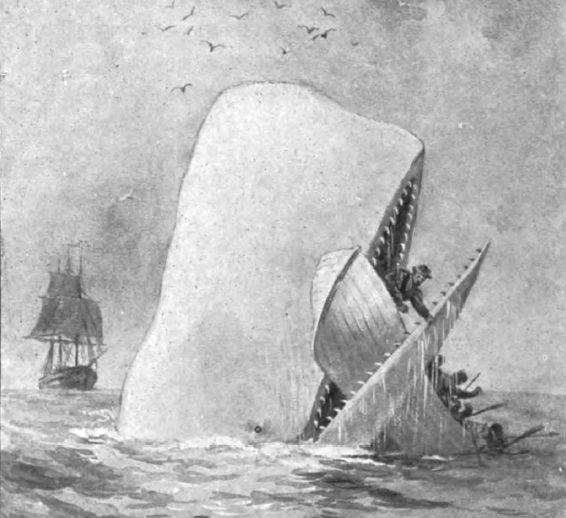 moby-dick.jpg.638x0_q80_crop-smart